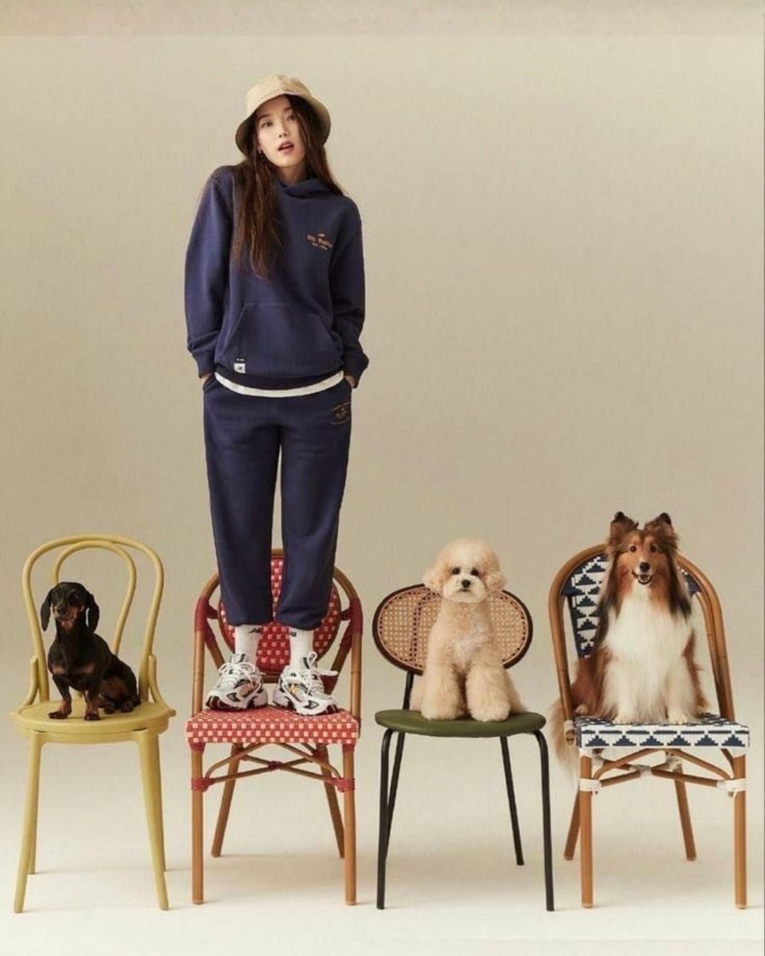 Woman standing on a chair among dogs sitting on chairs