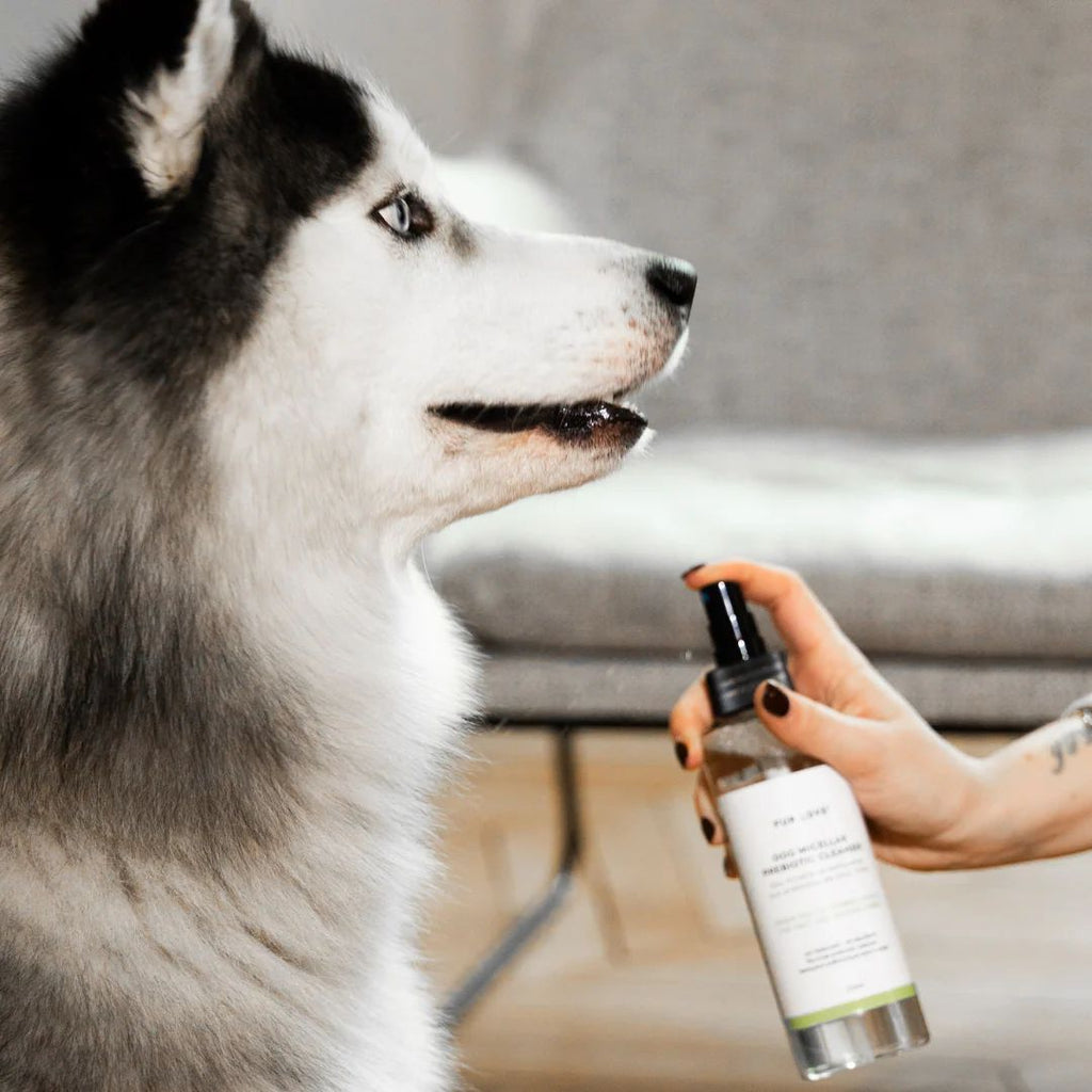 Fur & Body Dry Oil