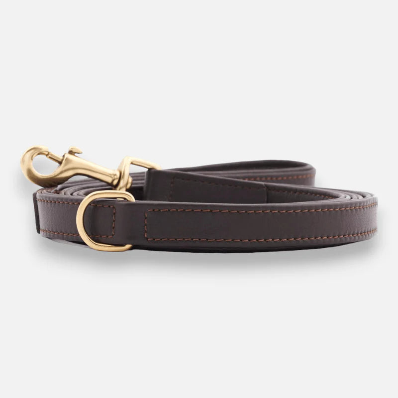 Luxury Leather Dog Leash Earth