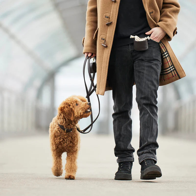 Luxury Leather Dog Leash Earth