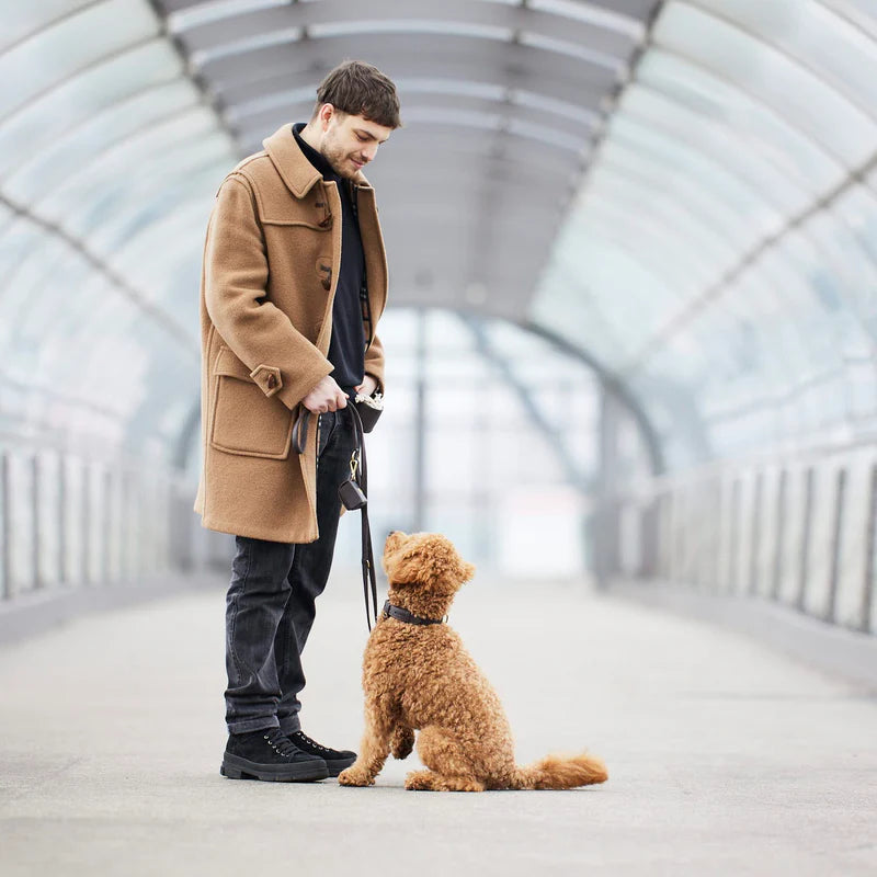 Luxury Leather Dog Leash Earth