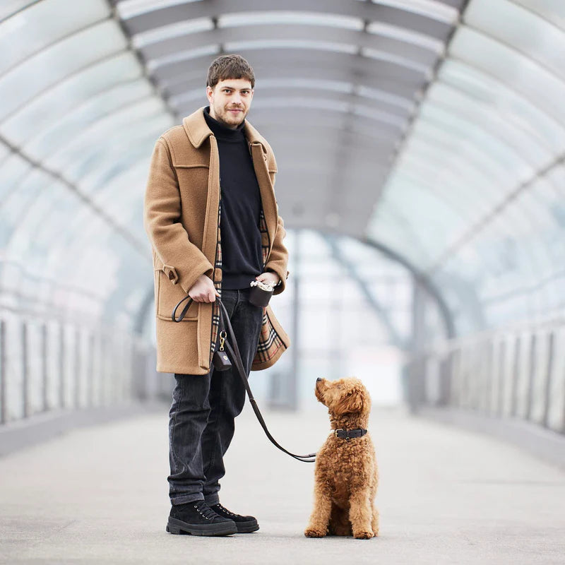 Luxury Leather Dog Leash Earth