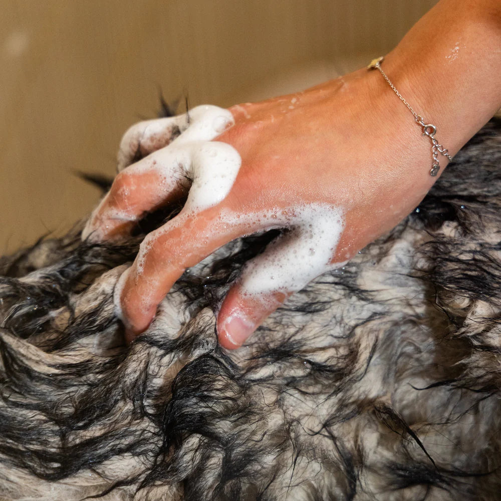 Natural Dog Shampoo