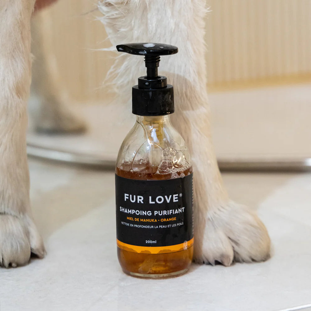 Natural Dog Shampoo