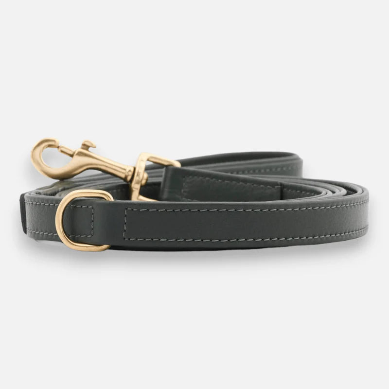 Luxury Leather Dog Leash Earth