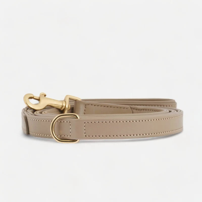 Luxury Leather Dog Leash Earth
