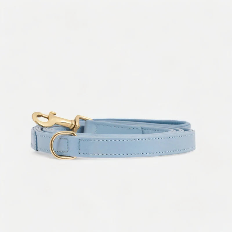 Luxury Leather Dog Leash Earth
