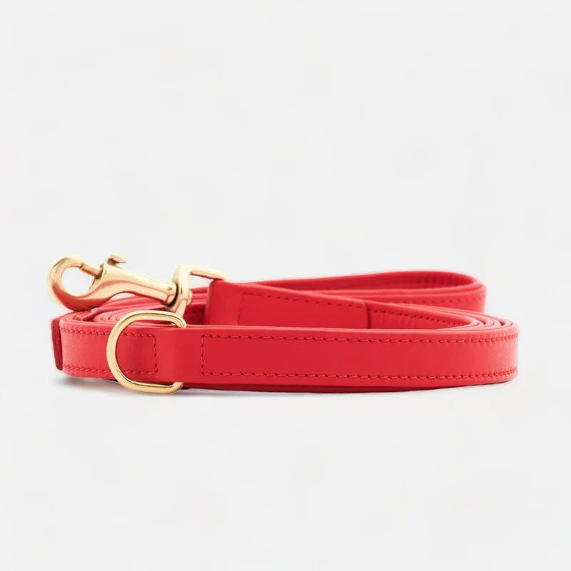 Luxury Leather Dog Leash Earth