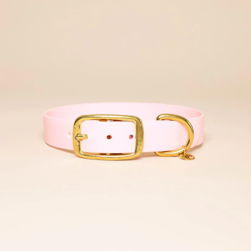 Dog Collar - baby rose