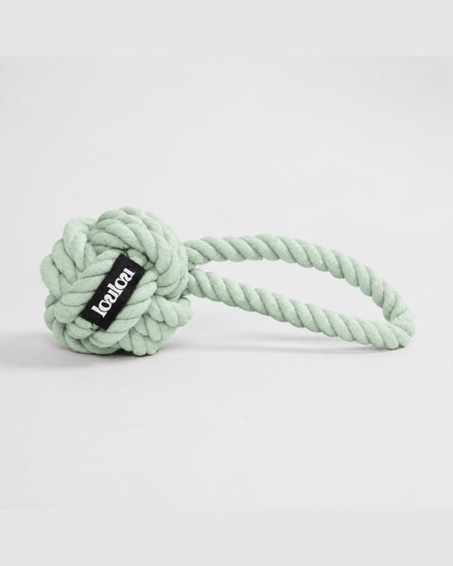 Mint green braided rope toy