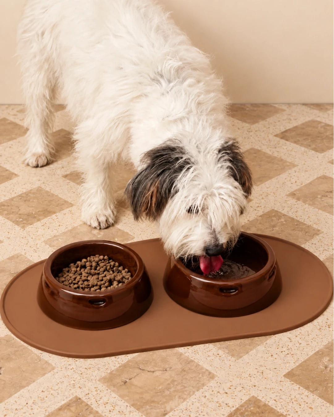 Dog eating from bowls on the silicone mat