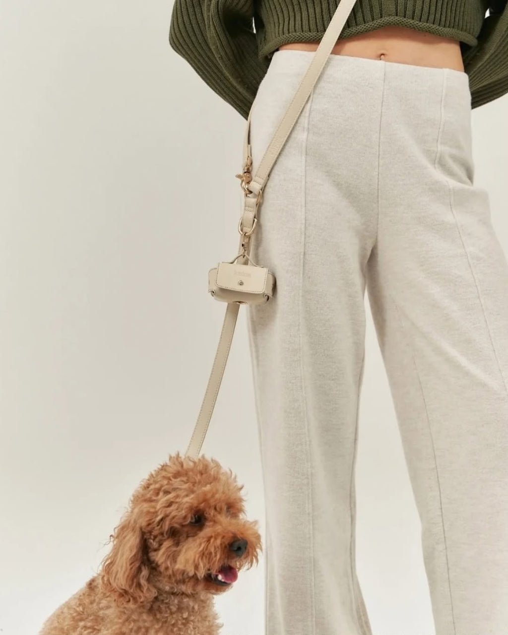 Cream pouch clipped to the leash, with a poodle