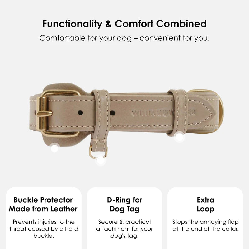 dog collar sand