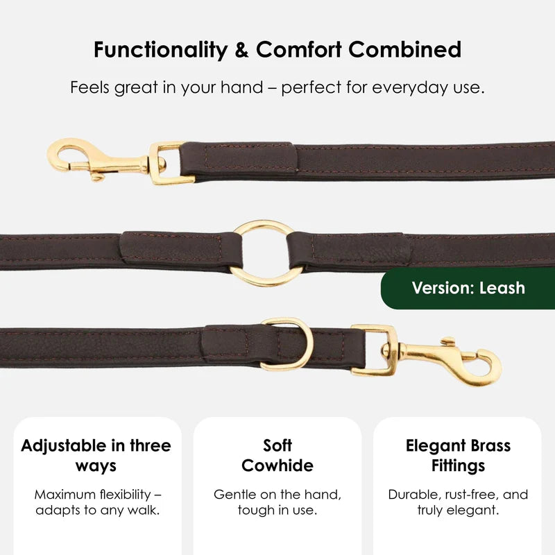 Luxury Leather Dog Leash Earth