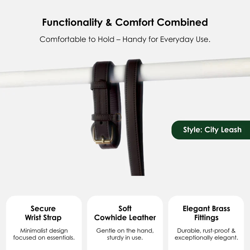 Luxury Leather Dog Leash Earth